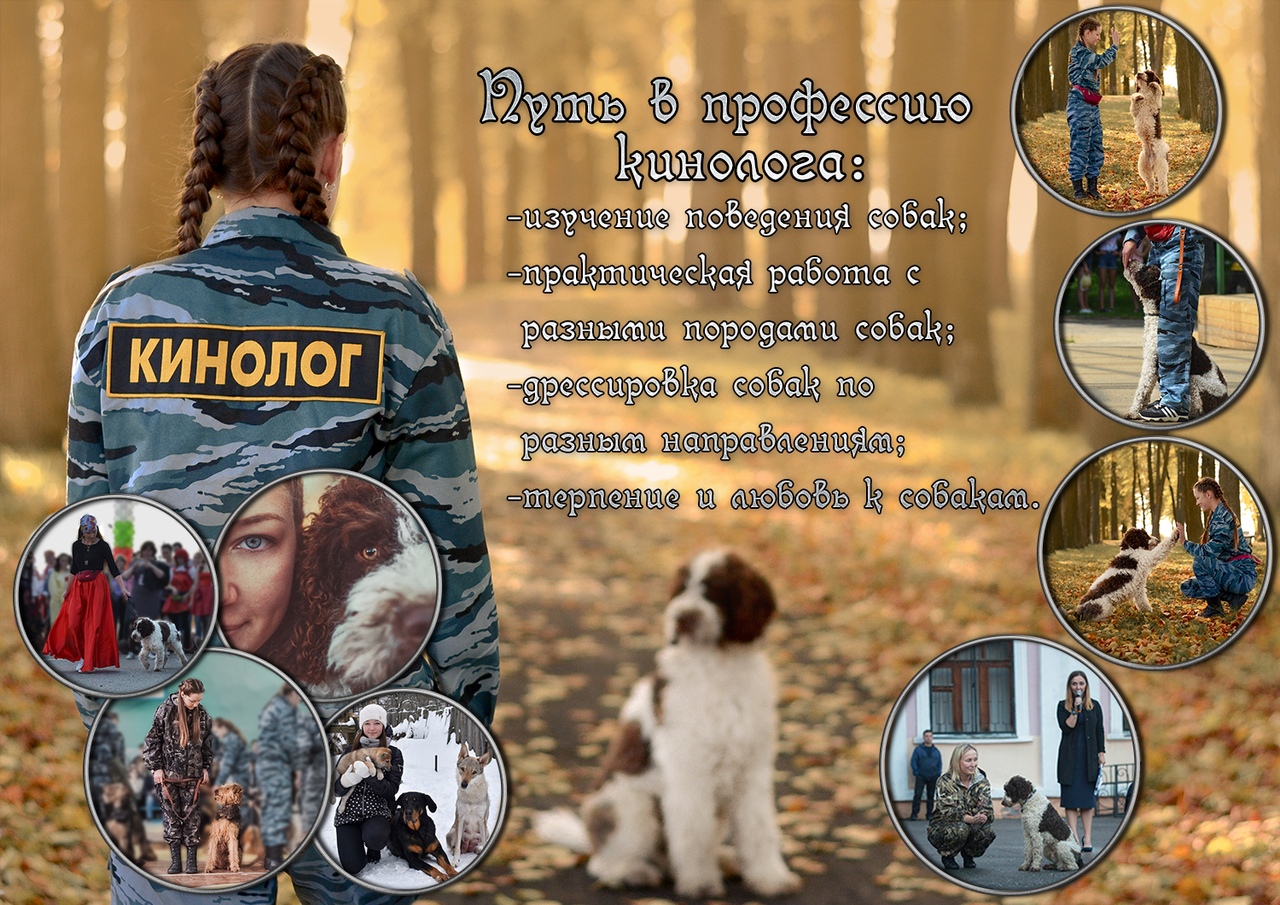 Пришел к п. Приходите к нам в кинологию у нас есть.